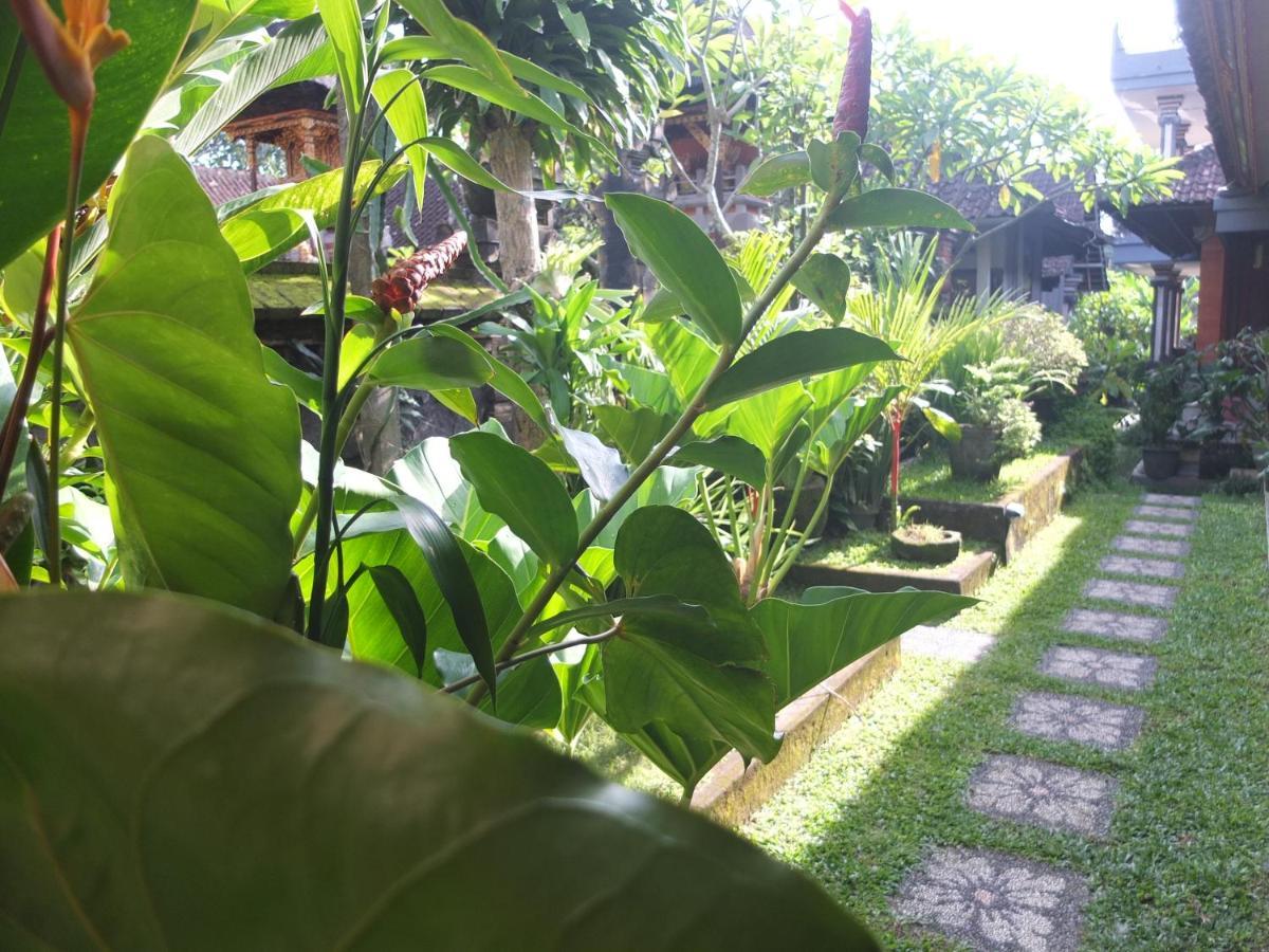 Ojek'S Homestay Ubud Exteriér fotografie