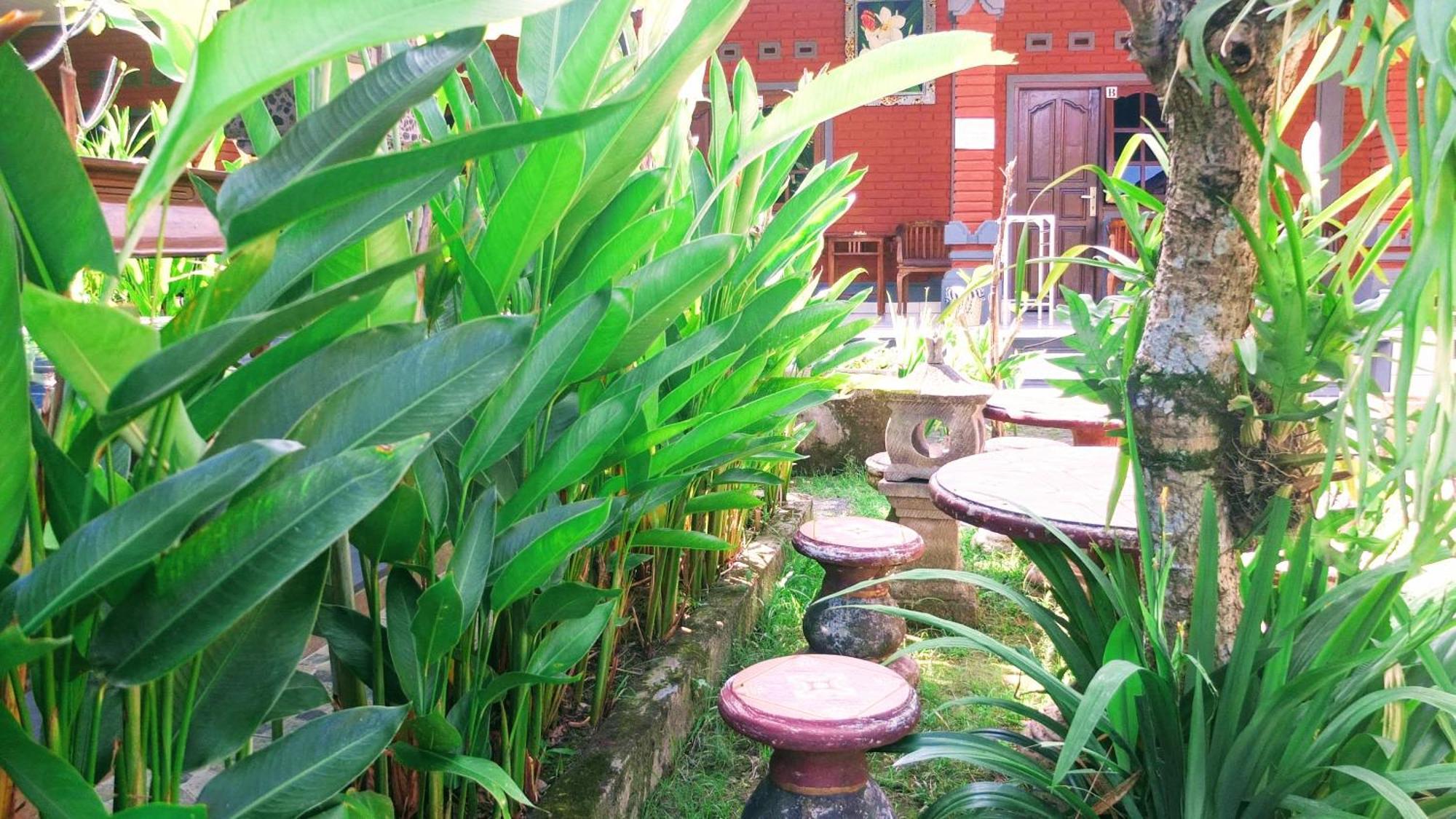 Ojek'S Homestay Ubud Exteriér fotografie