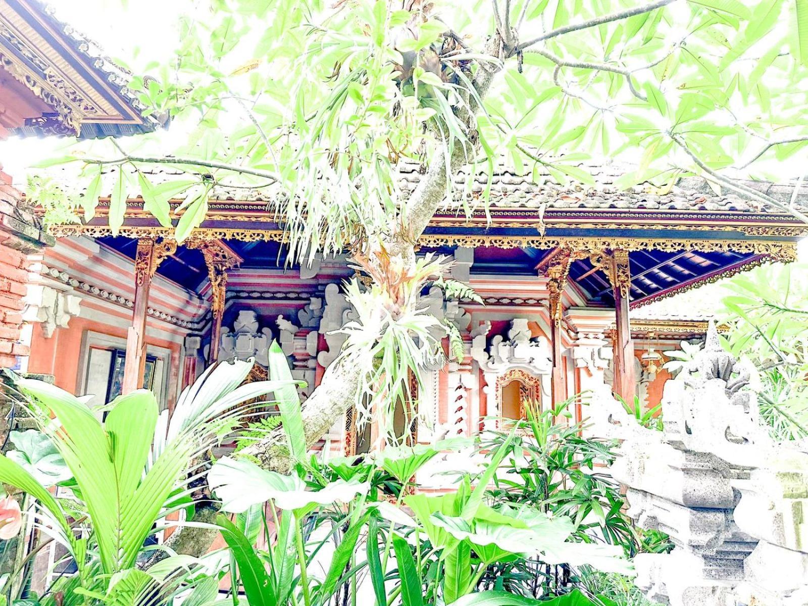 Ojek'S Homestay Ubud Pokoj fotografie